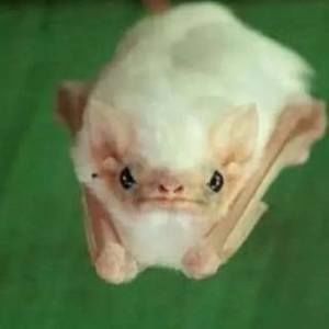 Meet your Posher, Jacklyn